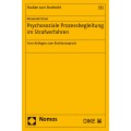 Psychosoziale Prozessbegleitung im Strafverfahren